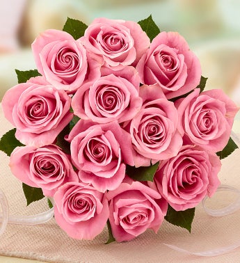 Rose of the Month