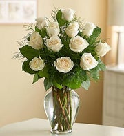 12 White Roses