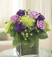 Purple Passion