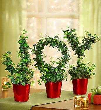Joy to the World Topiary