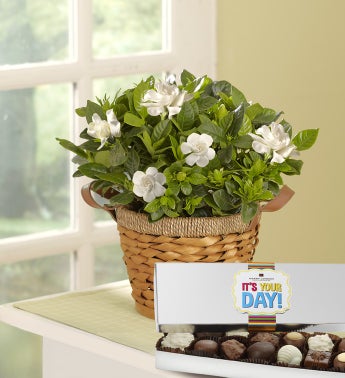 It?s Your Day Gardenia Basket