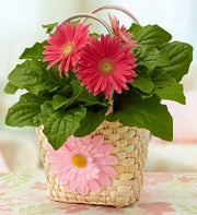 Happy Daisy Tote