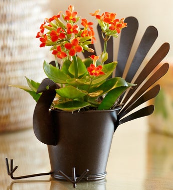 Gobble, Gobble Planter