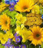 Arrangement of the Month