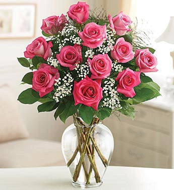 Rose Elegance? Premium Long Stem Roses