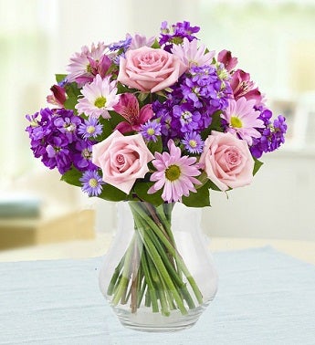 Lavender Dream