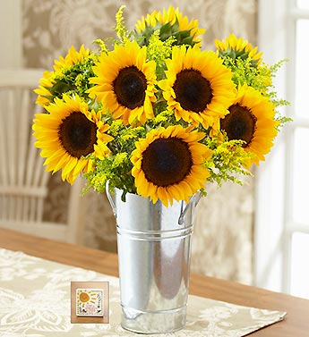 Sunflower Bouquet with Free Vase & Free Gift
