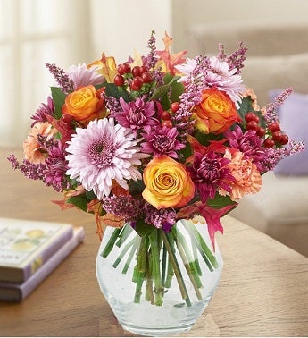 Plum Crazy? for Fall