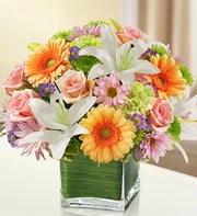 Multicolor Pastel Cube Arrangement