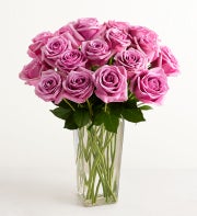 Passion for Purple Roses 12-24 Stems + Free Vase