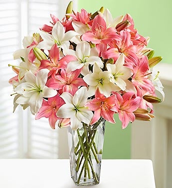 Pink and White Lillies