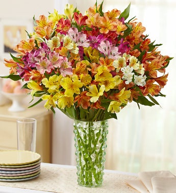 Gemstone Peruvian Lilies, 50-100 Blooms