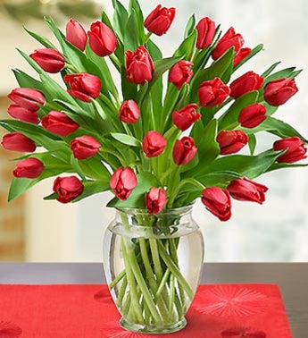 Tulips for your Love