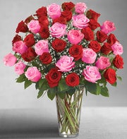 Ultimate Elegance? Long Stem Pink & Red Roses