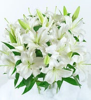 White Lily Bouquet for Sympathy