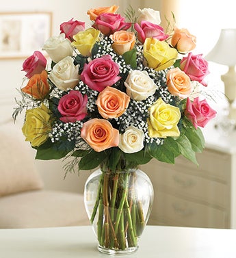 Two Dozen Premium Long Stem Assorted Roses