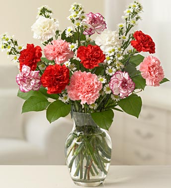 One Dozen Carnations Arranged in a Vase