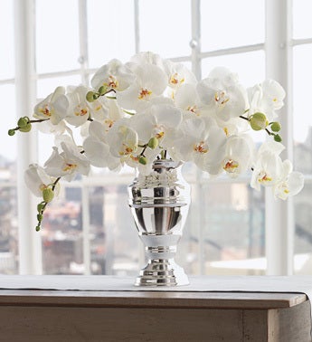 white phalaenopsis orchid bouquet