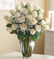 Sympathy Roses