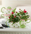 Mother's Day Polka Dot Tea Pot
