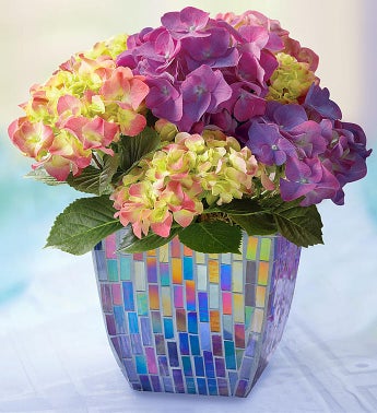 Hydrangea in Mosaic Planter