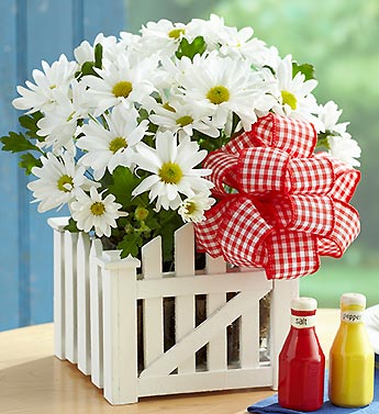 All American Picnic with Salt & Pepper Shakers