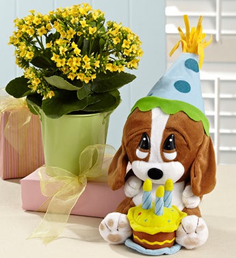 Happy Birthday Plant with Sad Sam� or Honey�