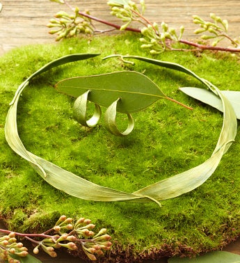 Eucalyptus Collar Necklace + Free Earrings