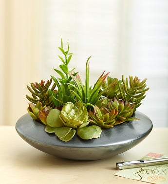 Faux Succulent Dish Garden