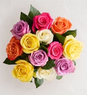 One Dozen Assorted Roses + Free Vase