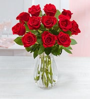 One Dozen Red Roses + Free Vase