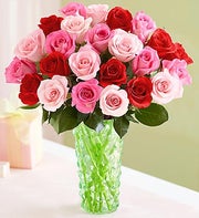 Shades of Her Love Roses