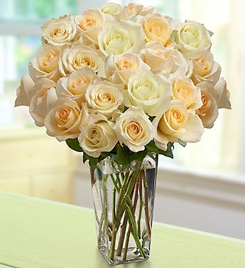 زهور وورود Flowers roses