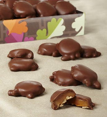 Fannie May Fall Pixies 1lb Box