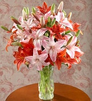 Assorted Lilies in a Vase