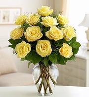 12 Yellow Long Stem Roses