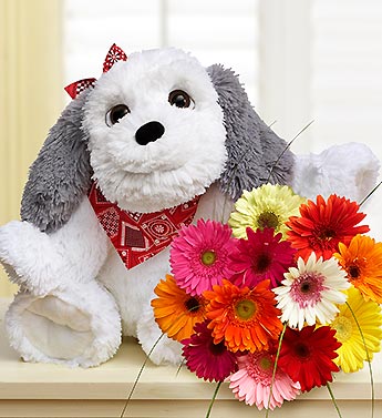 Big Doggie with Daisies