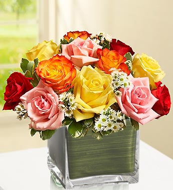 Modern Roses - One Dozen Assorted