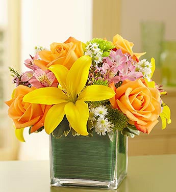 Fields of Europe in Cube Vase