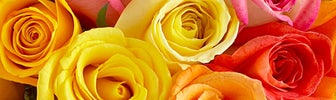 june birth flower