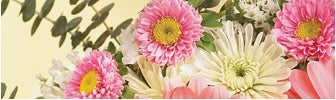 september birth flower