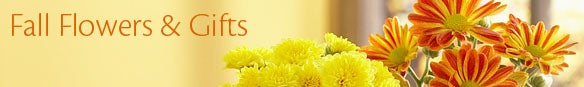 Fall Flowers & Gifts
