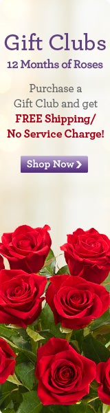 Gift Clubs