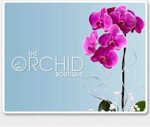 Orchid Boutique