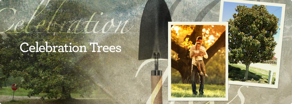 Celebration Trees