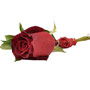 Groom's Boutonniere