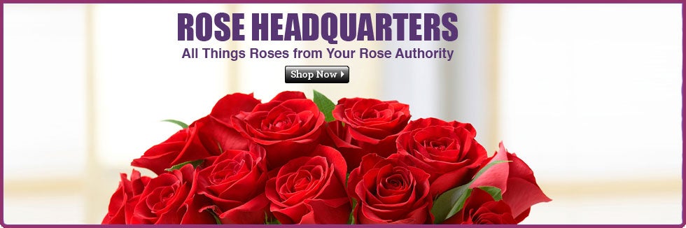 Rose Headquarters